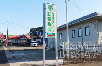 動物病院様の自立LED電飾看板